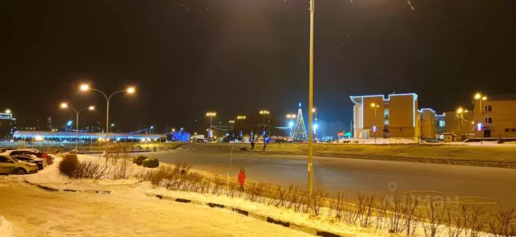 3-к кв. Московская область, Чехов ул. Чехова, 79к1 (78.0 м) - Фото 2