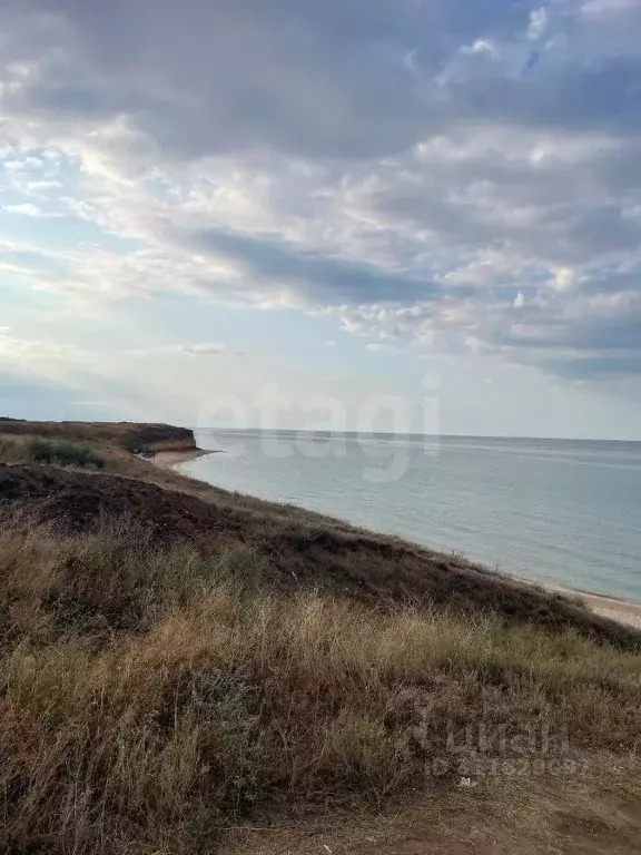 Участок в Крым, Черноморский район, с. Окуневка  (348.04 сот.) - Фото 0