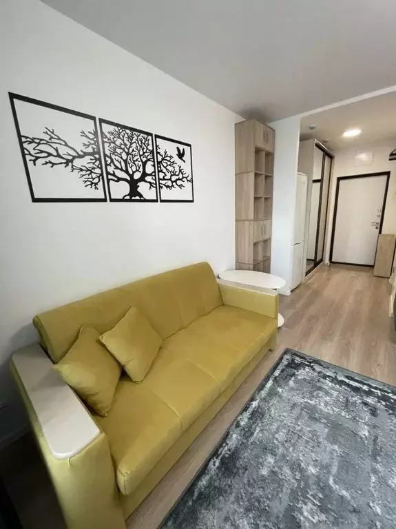 Студия Московская область, Домодедово городской округ, с. Ям ул. ... - Фото 2