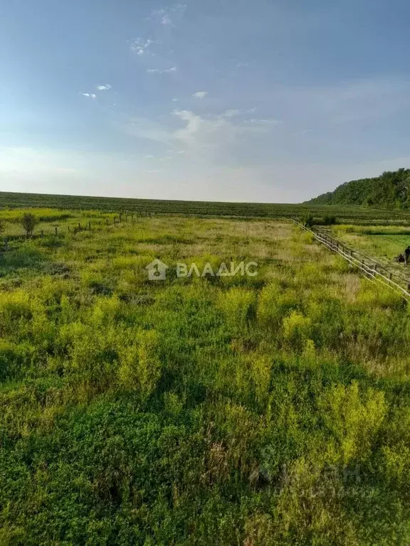 Участок в Башкортостан, Стерлитамакский район, с. Буриказганово  (14.5 ... - Фото 1