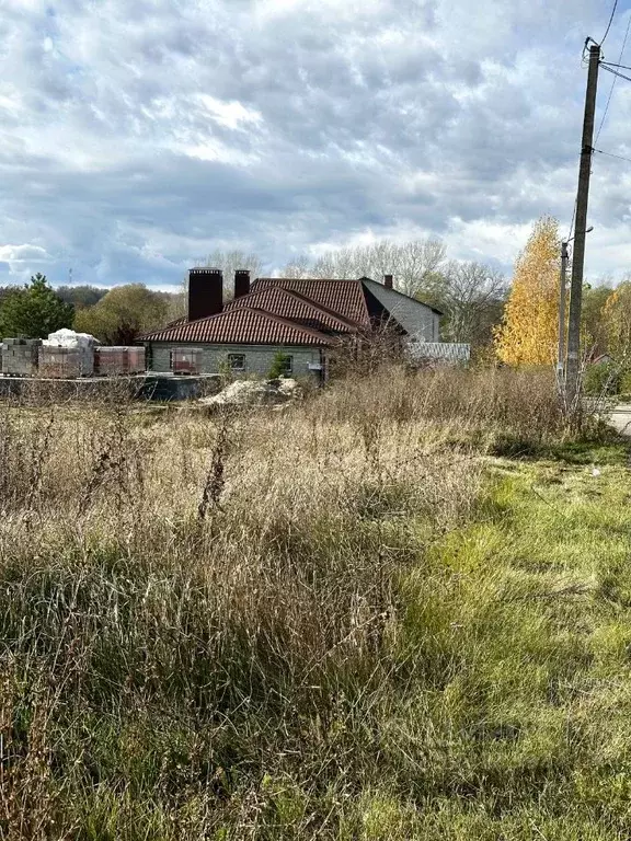 Участок в Белгородская область, Яковлевский муниципальный округ, ... - Фото 1