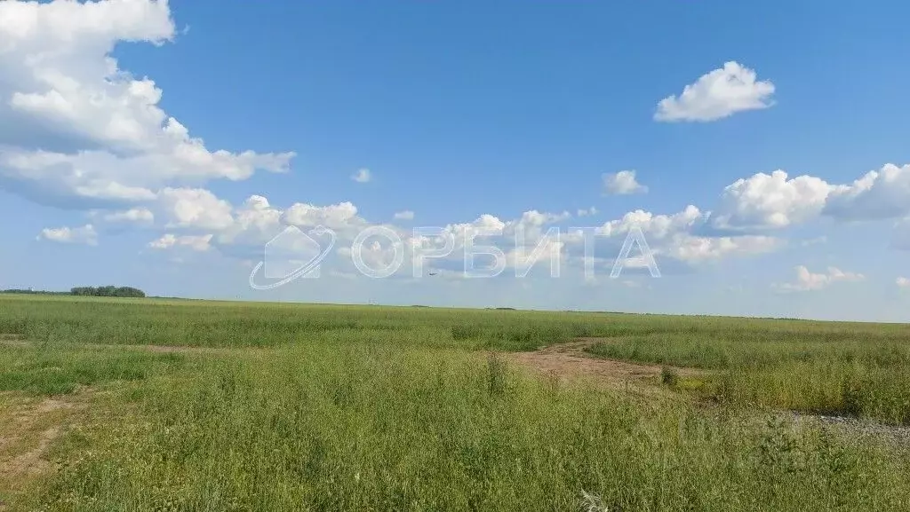 Участок в Тюменская область, Тюменский район, с. Кулига ул. Валерия ... - Фото 0