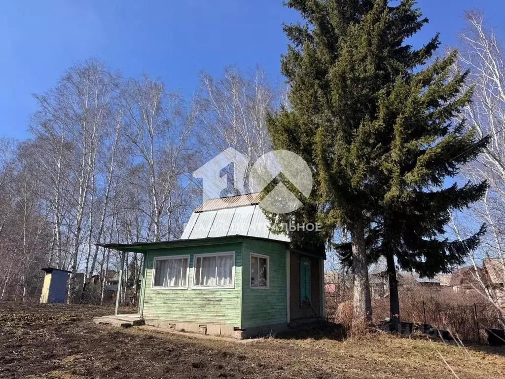 Дом в Новосибирская область, Бердск Вега-4 СНТ, 1 (24 м) - Фото 0