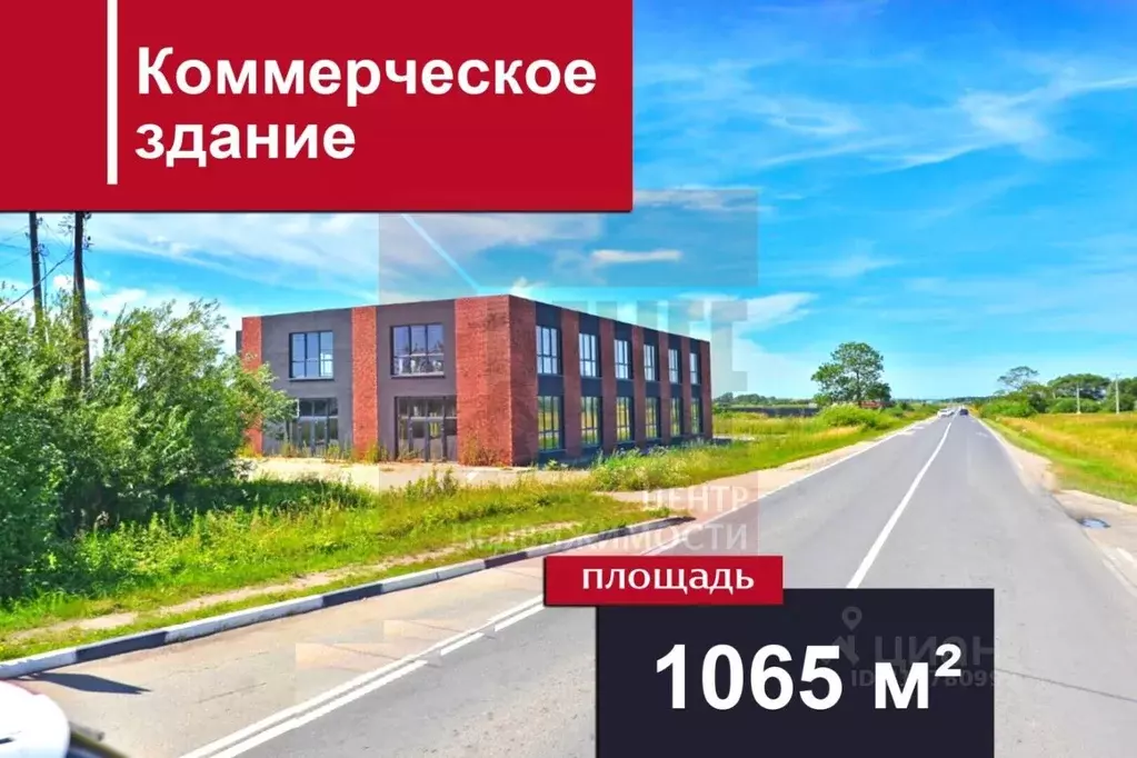 Помещение свободного назначения в Калининградская область, ... - Фото 1