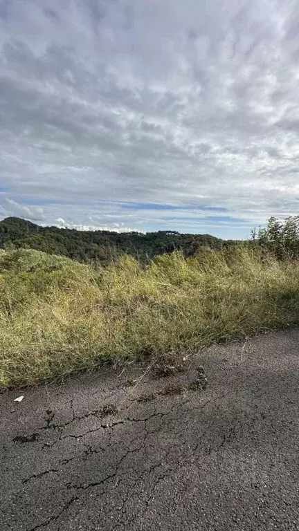 Участок в Краснодарский край, Сочи городской округ, с. Горное Лоо ул. ... - Фото 2
