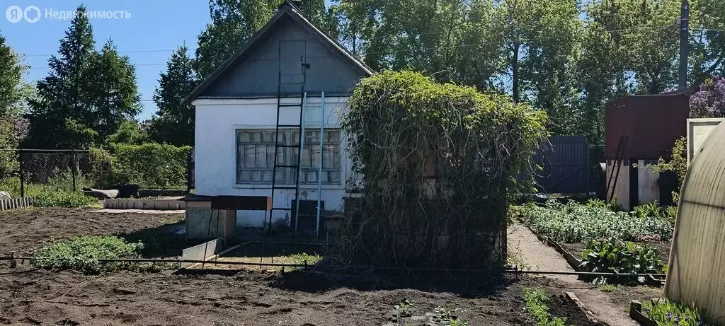 Участок в Магнитогорск, СНТ Метизник, 2 (6 м) - Фото 1