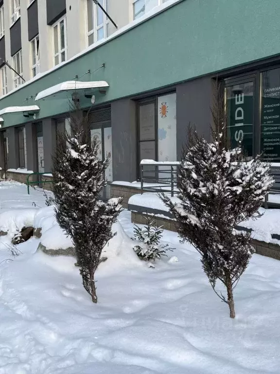 Студия Санкт-Петербург пос. Парголово, ул. Брюлловская, 5 (22.0 м) - Фото 2