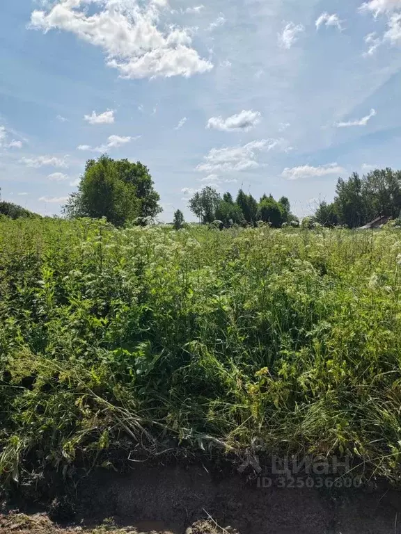 Участок в Московская область, Можайский муниципальный округ, д. ... - Фото 1
