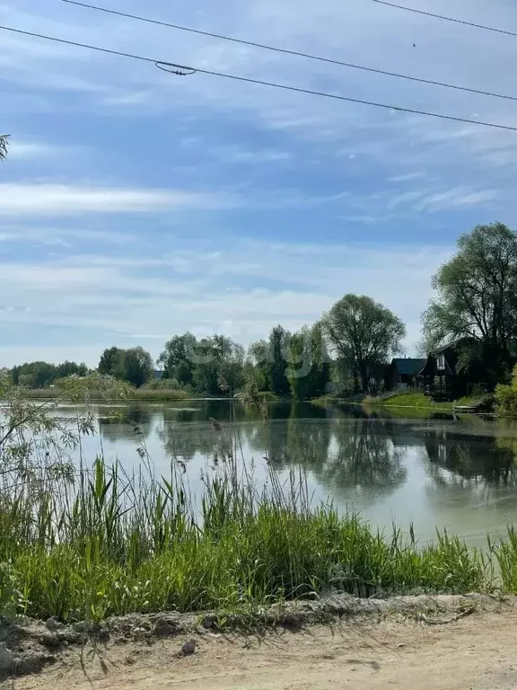 Участок в Новосибирская область, Новосибирский район, Криводановский ... - Фото 1