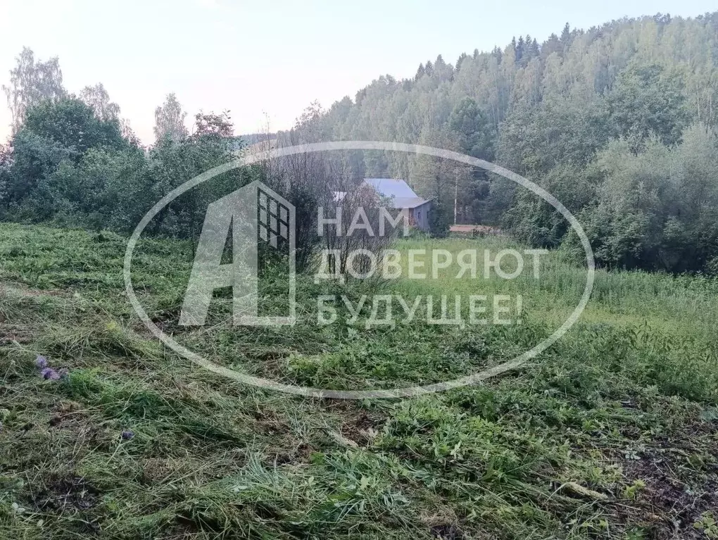 Участок в Пермский край, Чайковский городской округ, с. Ольховка ул. ... - Фото 1