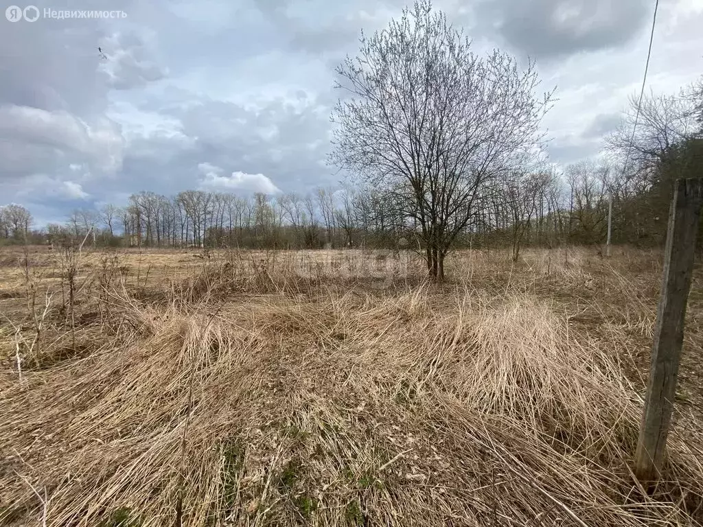 Участок в Московская область, городской округ Ступино, село ... - Фото 1