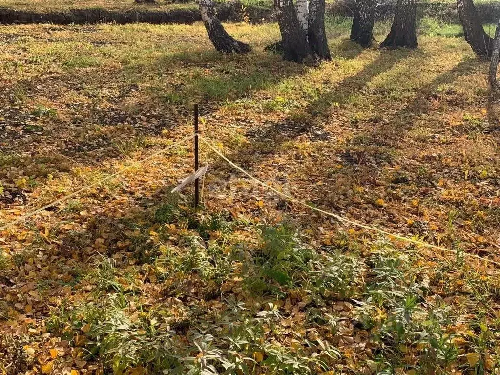 Участок в Новосибирская область, Новосибирский район, Верх-Тулинский ... - Фото 0