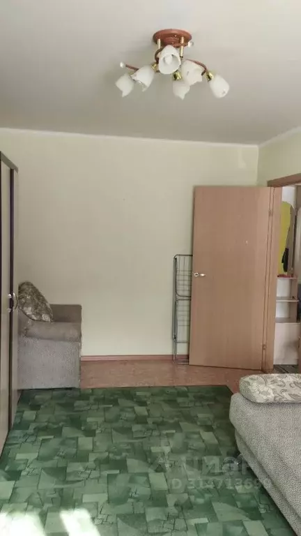 1-к кв. Алтайский край, Барнаул ул. Малахова, 164 (35.0 м) - Фото 0