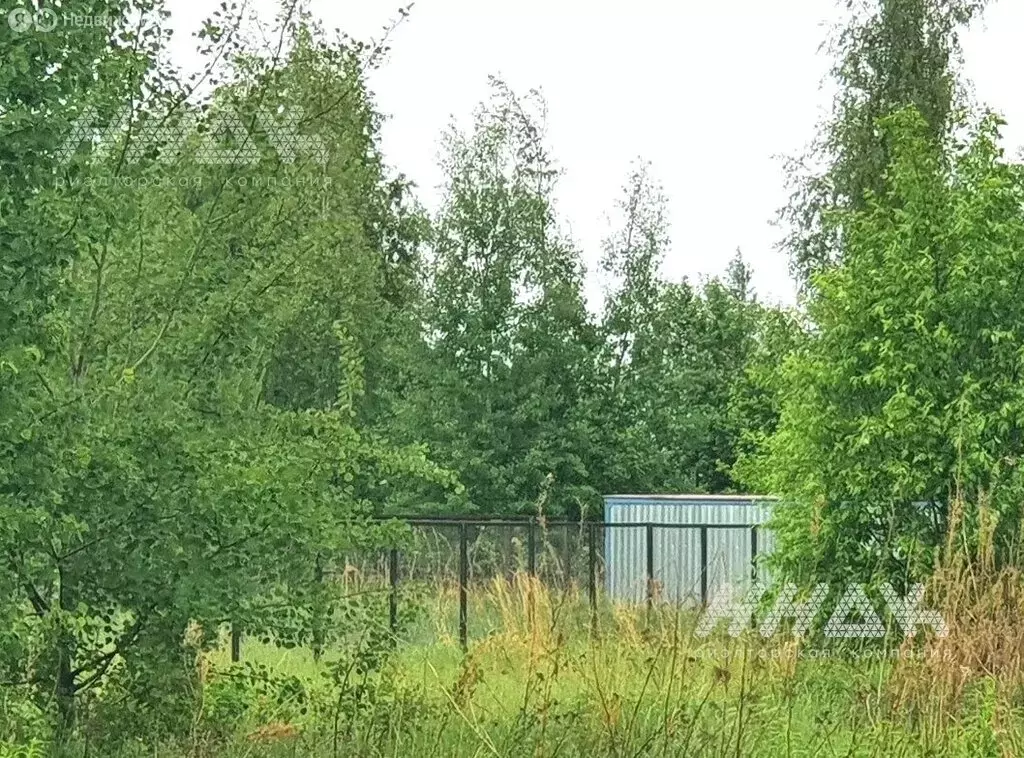 Участок в Нижегородская область, муниципальный округ Сокольский, ... - Фото 2
