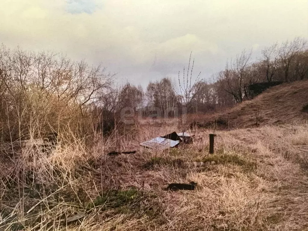 Участок в Кемеровская область, Ленинск-Кузнецкий Зимняя ул. (10.0 ... - Фото 1