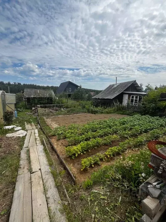 Участок в Иркутская область, Иркутский муниципальный округ, Восовец ... - Фото 1
