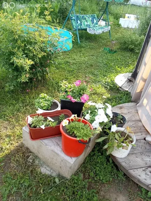 Дом в Пермь, ТСН № 6 (20 м) - Фото 2