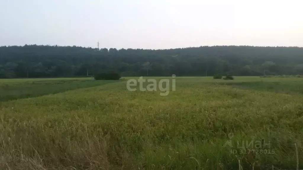 Участок в Крым, Симферопольский район, с. Донское ул. 60 лет СССР, 69 ... - Фото 1