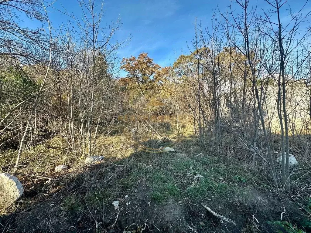 Участок в Крым, Ялта муниципальный округ, Кацивели пгт  (5.0 сот.) - Фото 2