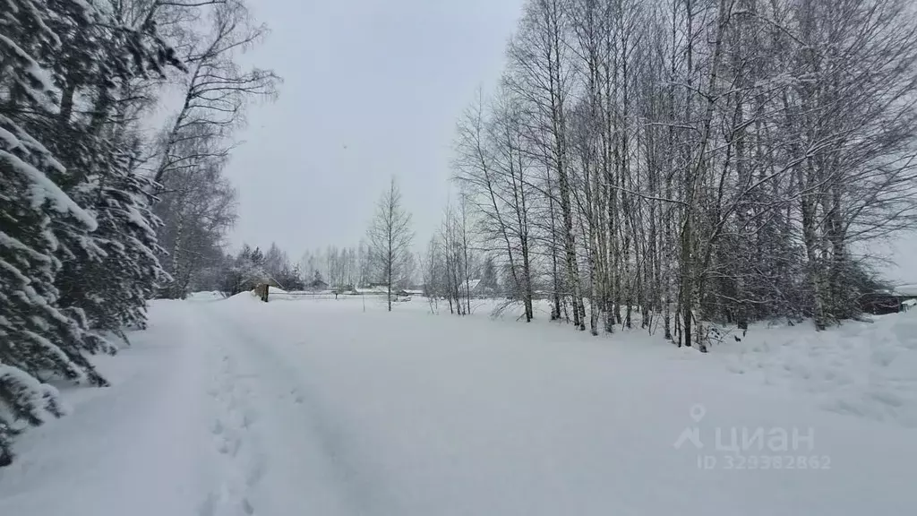 Участок в Московская область, Орехово-Зуевский городской округ, д. ... - Фото 1