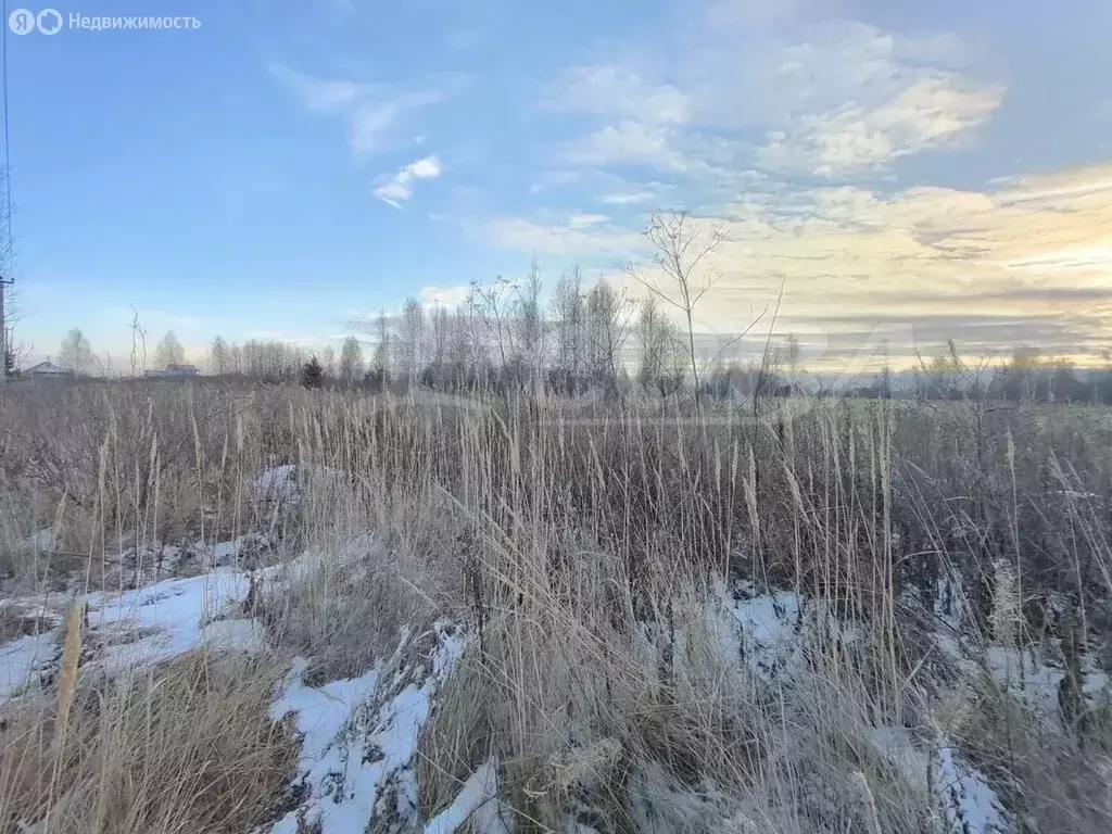 Участок в Тюмень, ТОО Ембаевское (7.3 м) - Фото 1