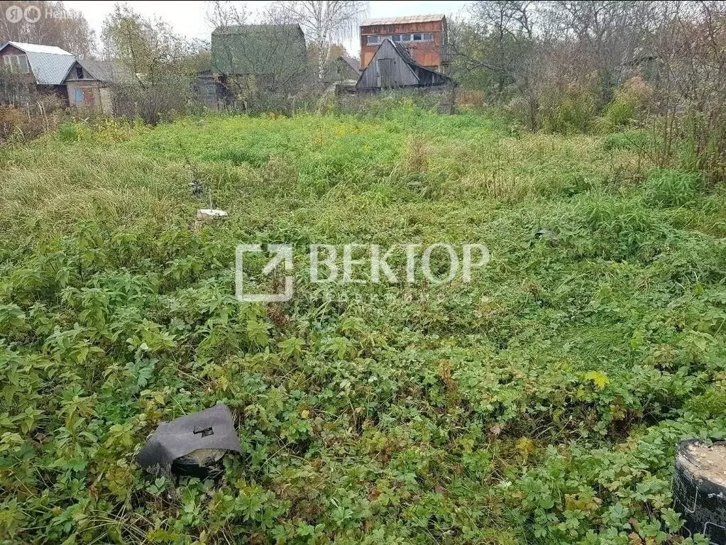 Участок в Кострома, садоводческое некоммерческое товарищество Ленок (4 ... - Фото 1