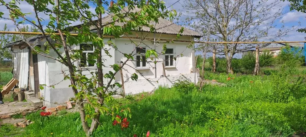 Дом в Курская область, Обоянский район, Зоринский сельсовет, с. Зорино ... - Фото 1