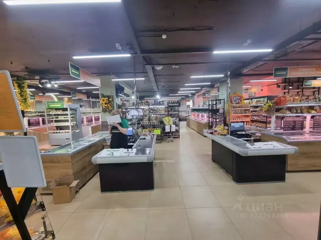 Торговая площадь в Тюменская область, Тюмень ул. Николая Чаплина, 115Б ... - Фото 1