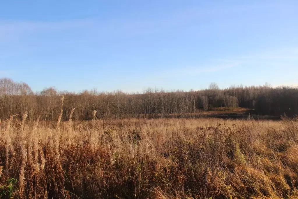 Участок в Московская область, Шаховская муниципальный округ, д. ... - Фото 2