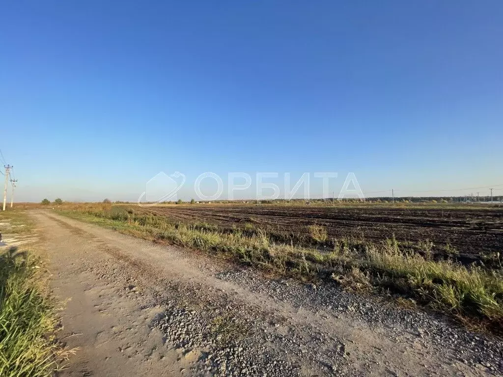 Участок в Тюменская область, Тюменский муниципальный округ, ... - Фото 1