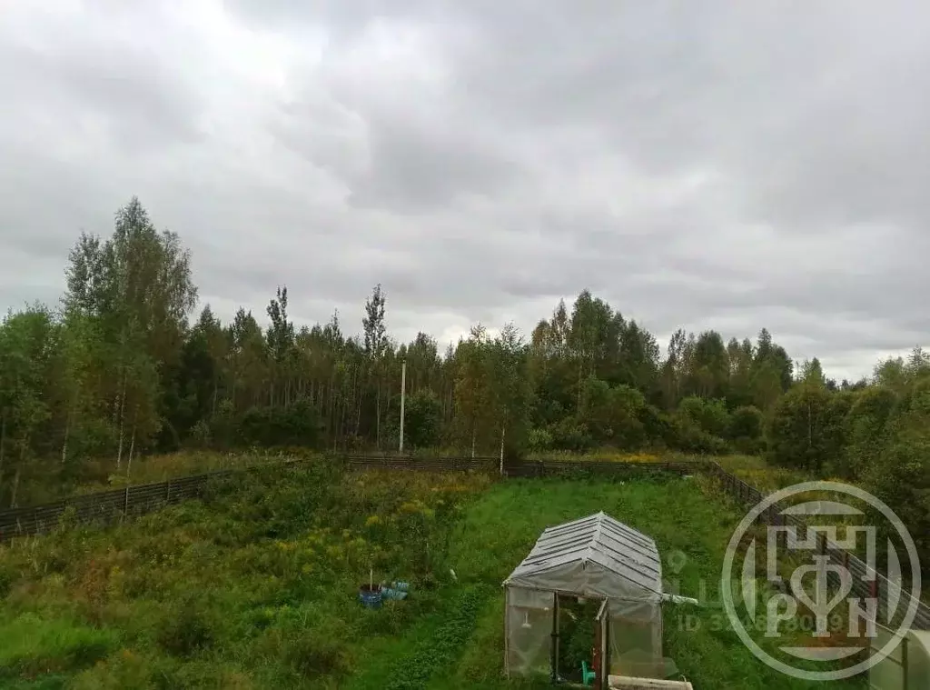 Участок в Ленинградская область, Лужский район, Заклинское с/пос, ... - Фото 1