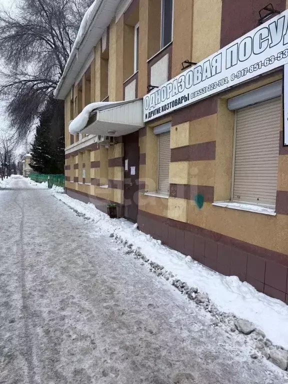 Торговая площадь в Татарстан, Альметьевск ул. Чернышевского, 32 (57 м) - Фото 2