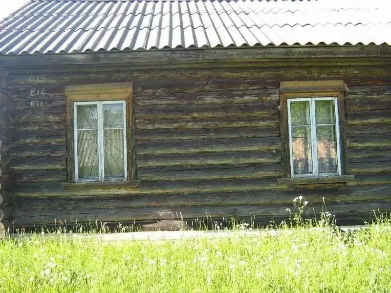 Помещение свободного назначения в Костромская область, Буйский ... - Фото 1