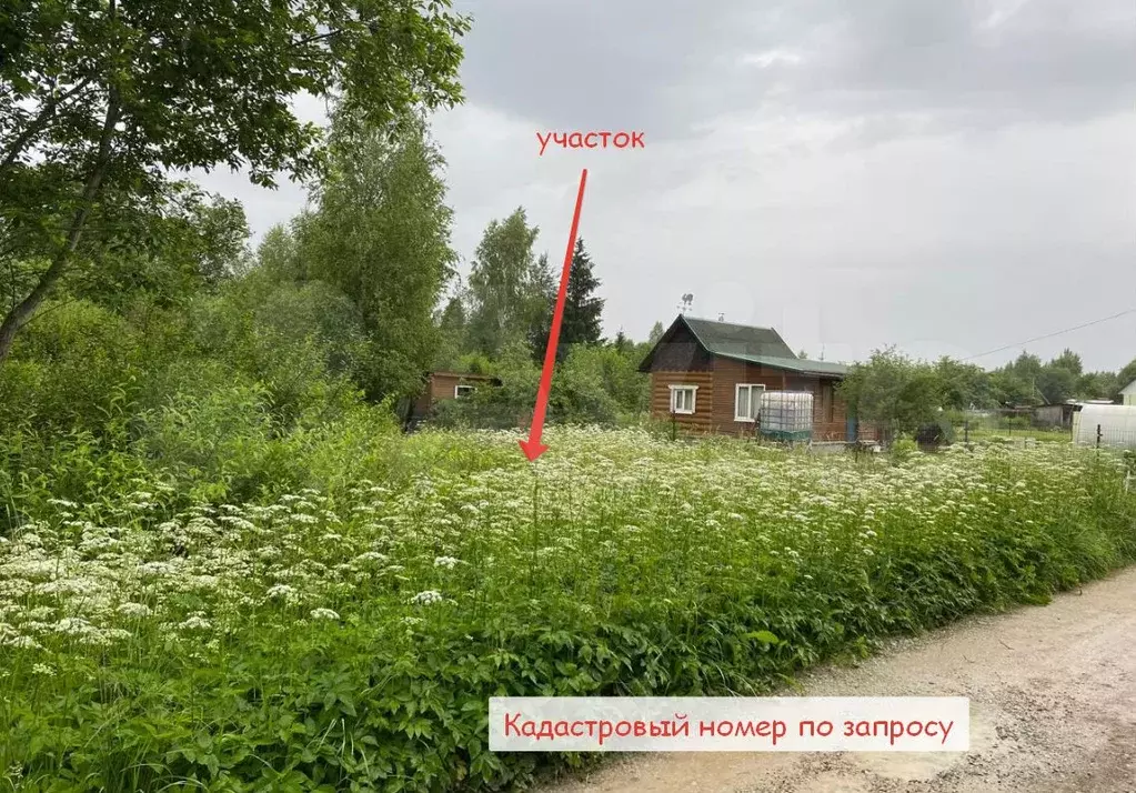 Участок 6 сот. (СНТ, ДНП) - Фото 1