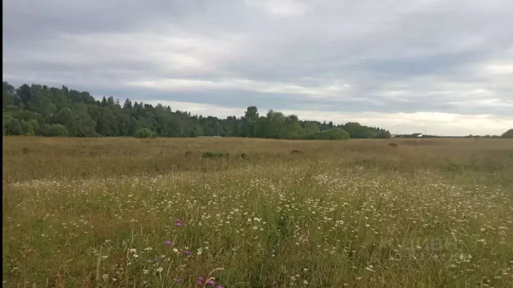 Участок в Ленинградская область, Волосовский район, Клопицкое с/пос, ... - Фото 0