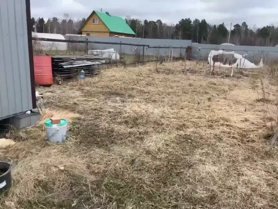 Участок в Тюменская область, Тюменский муниципальный округ, Ежевика дп ... - Фото 1