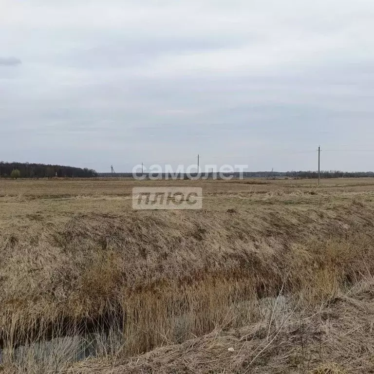 Участок в Московская область, Дмитровский муниципальный округ, пос. ... - Фото 2