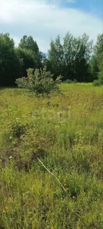 Участок в Новгородская область, Чудовский муниципальный район, ... - Фото 2