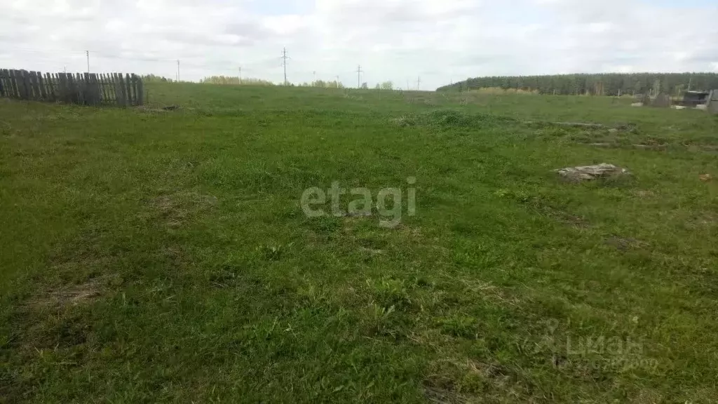 Участок в Удмуртия, Увинский район, д. Чабишур Родниковая ул. (8.8 ... - Фото 1