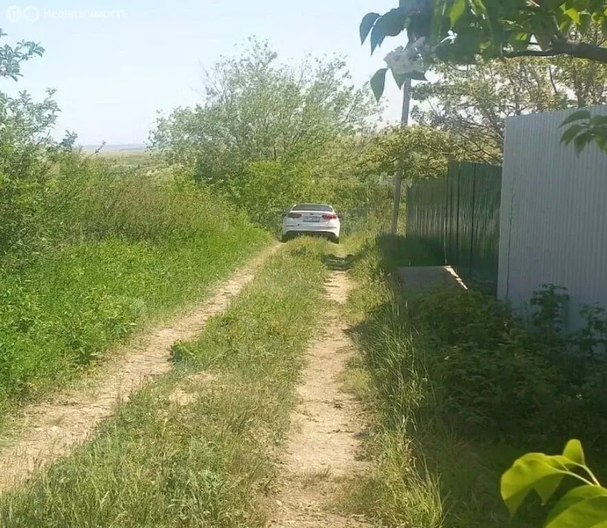 Участок в городское поселение Новосемейкино, садовый массив Водинский, ... - Фото 1