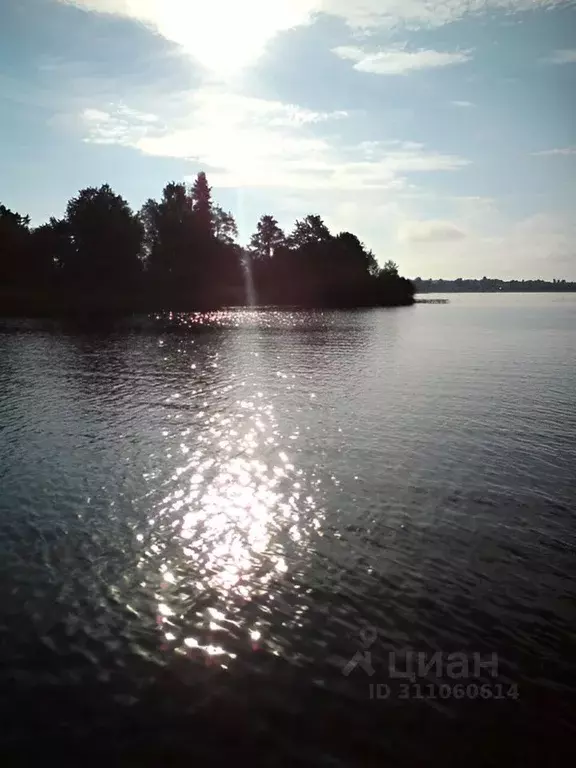Дом в Новгородская область, Демянский муниципальный округ, с. Полново  ... - Фото 2