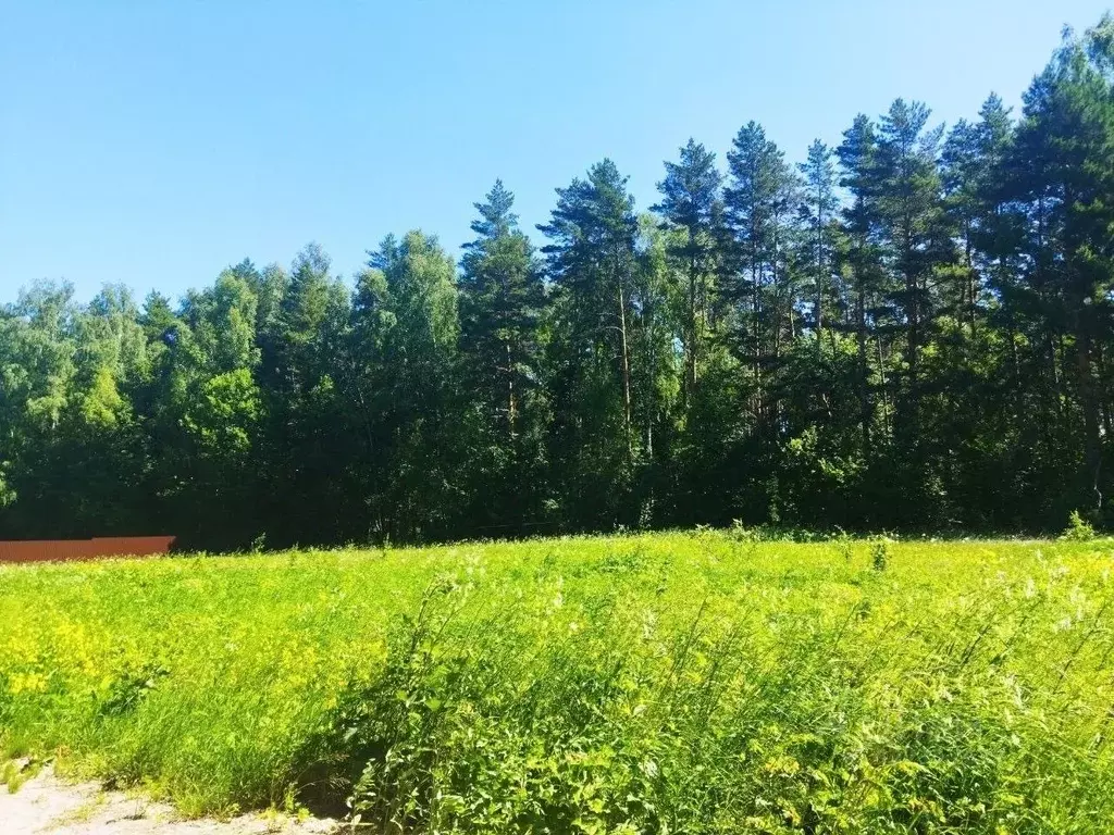 Участок в Тульская область, Ясногорский район, Иваньковское с/пос, ... - Фото 2