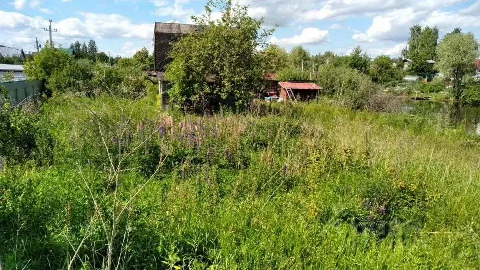 Участок в Татарстан, Зеленодольский район, Васильево муниципальное ... - Фото 1