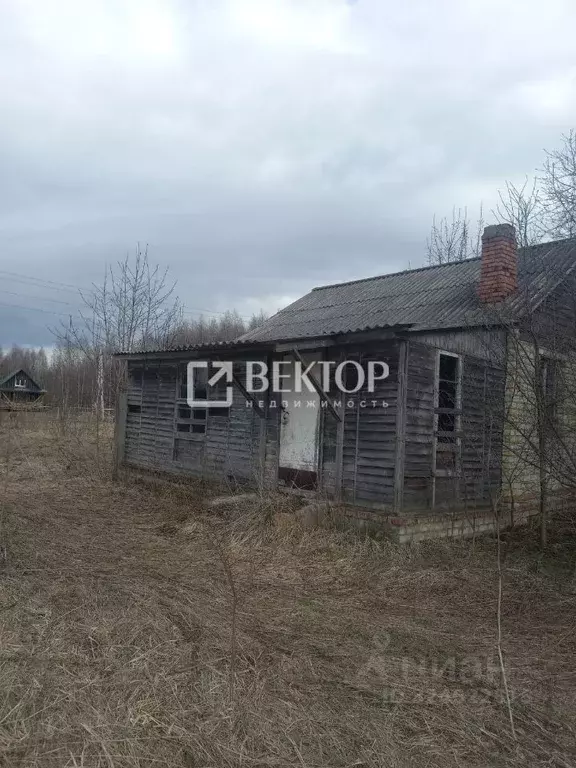 Участок в Ярославская область, Некрасовский муниципальный округ, д. ... - Фото 2