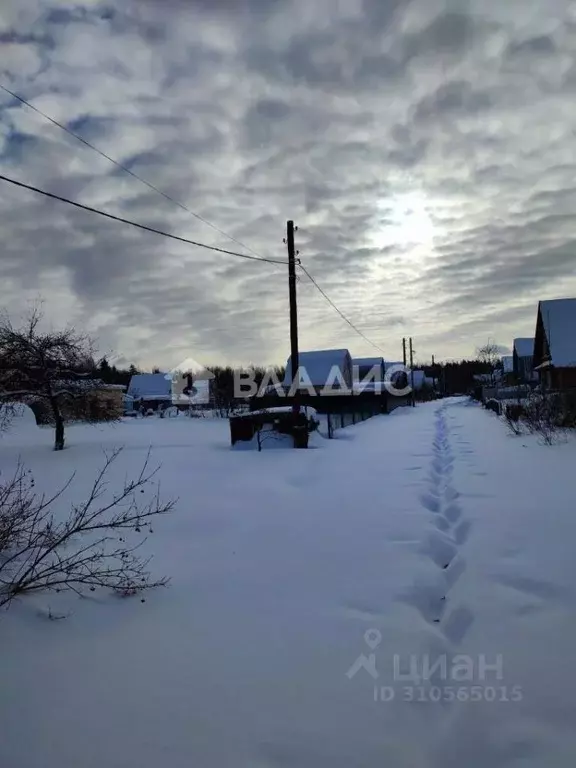 Участок в Владимирская область, Владимир Вишенка-1 СНТ, 1 (6.0 сот.) - Фото 0