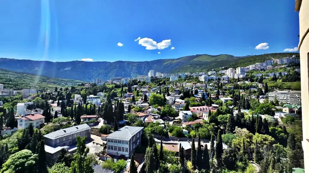Свободной планировки кв. Крым, Ялта ул. Ленинградская, 25 (98.3 м) - Фото 1