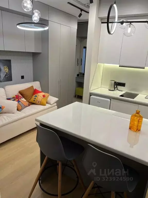 Студия Краснодарский край, Сочи Бакинская ул., 14А (28.0 м) - Фото 2