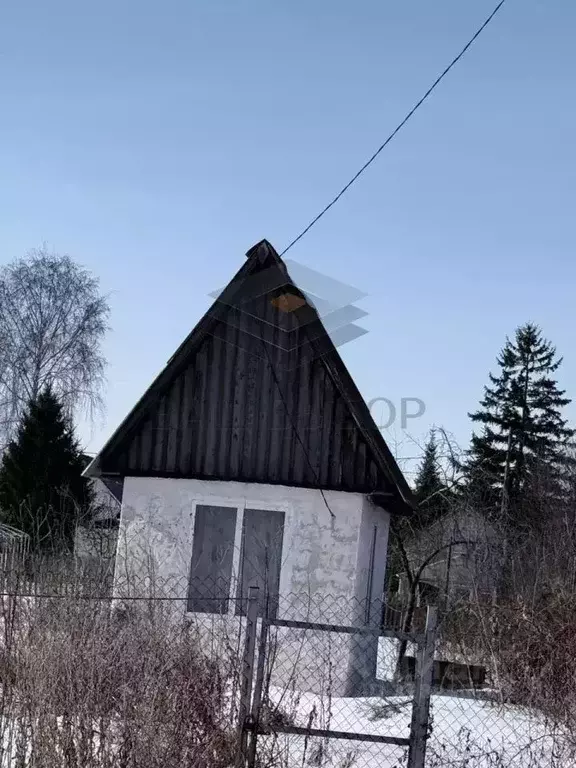 Участок в Омская область, Омск СОСН Авангард-2 тер.,  (6.4 сот.) - Фото 2