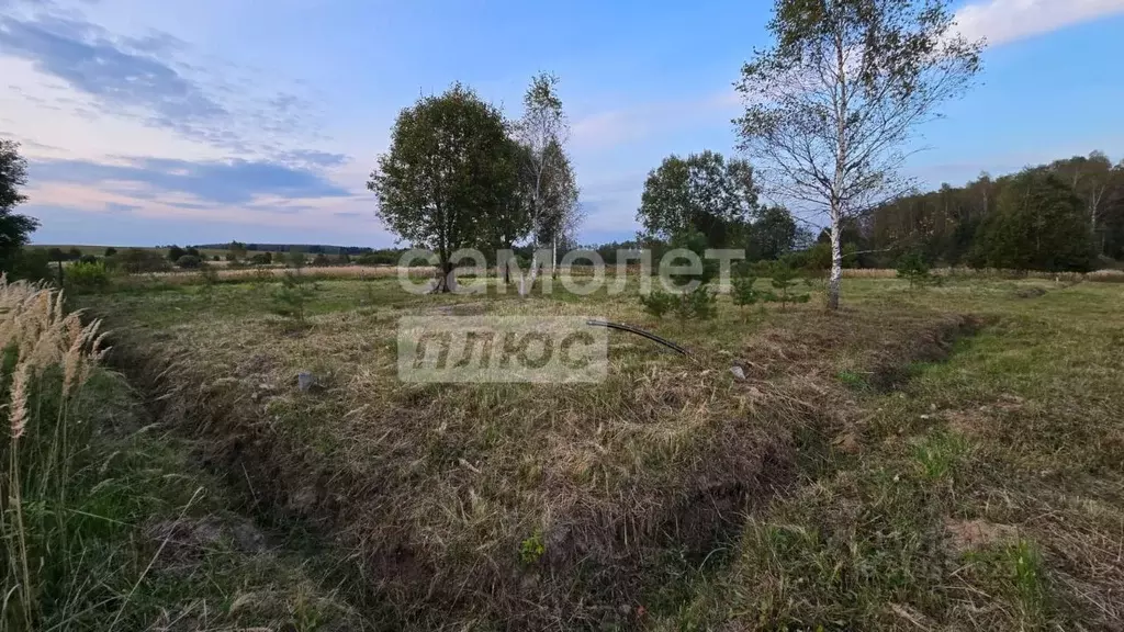 Участок в Калужская область, Боровский муниципальный округ, ... - Фото 1