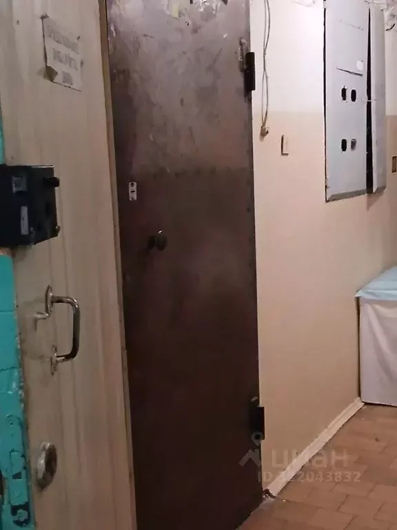 Помещение свободного назначения в Воронежская область, Воронеж ... - Фото 0